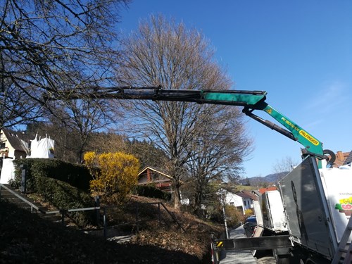 schulgarten ankunft erdsäcke